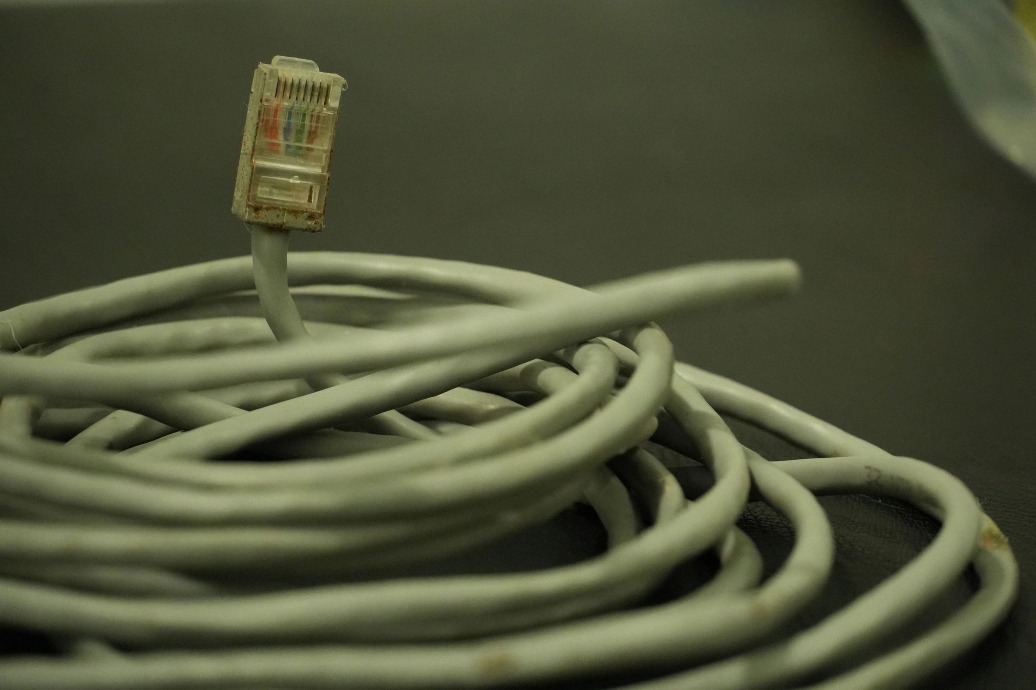 Ethernet cable representing network infrastructure upgrades